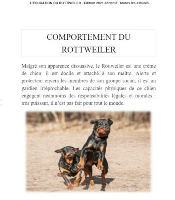 Rottweiler-vaudreuil-Livre-éducation-du-rottweiler-3