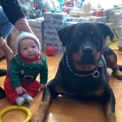 chien et bébé